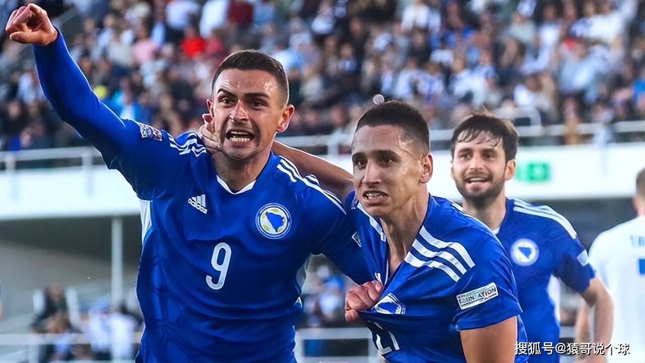 开云体育平台APP-波黑队在欧洲预选赛中继续努力