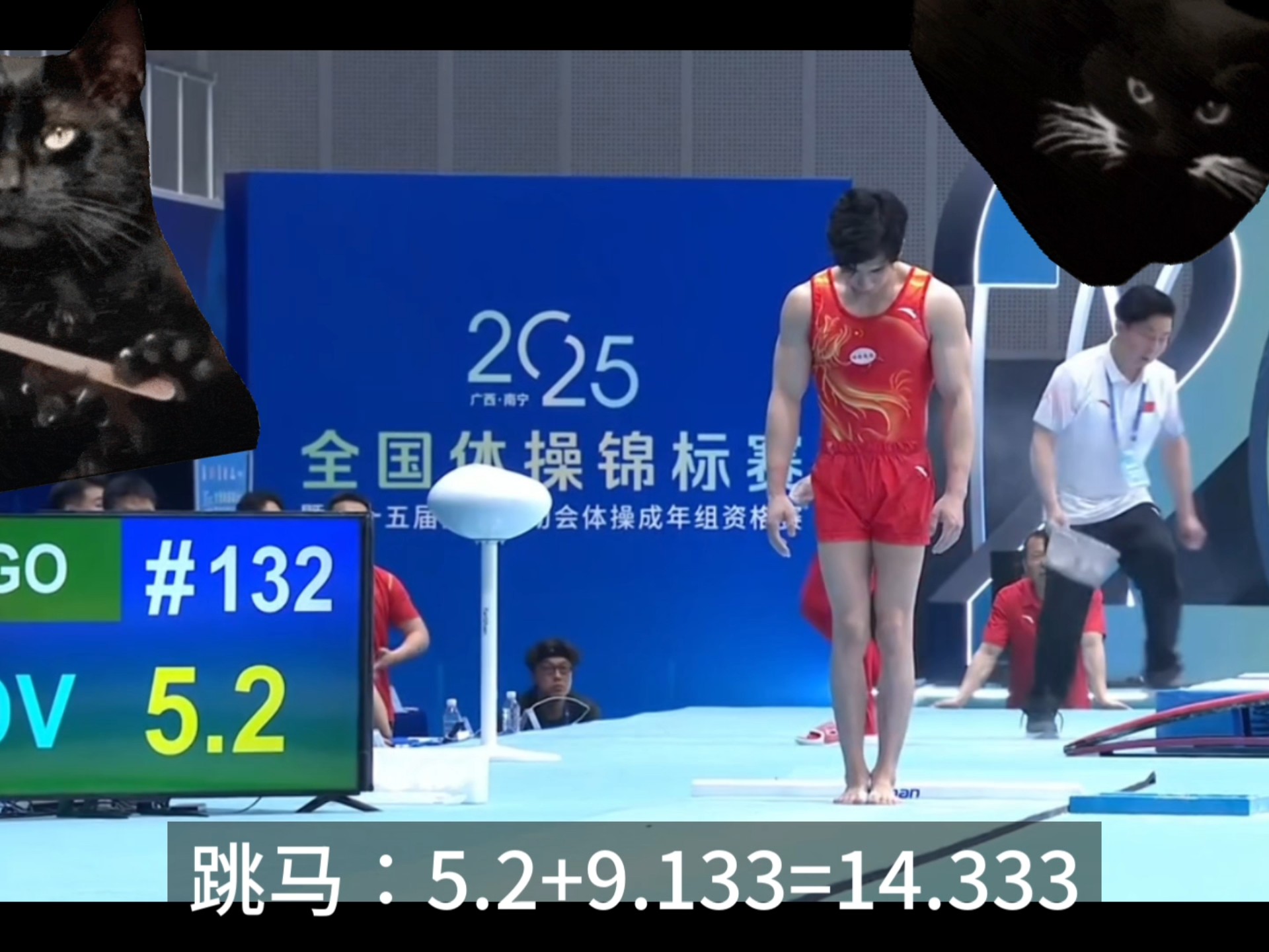 跳马选手表现稳定,备战全力冲刺 跳马选手表现稳定,备战全力冲刺