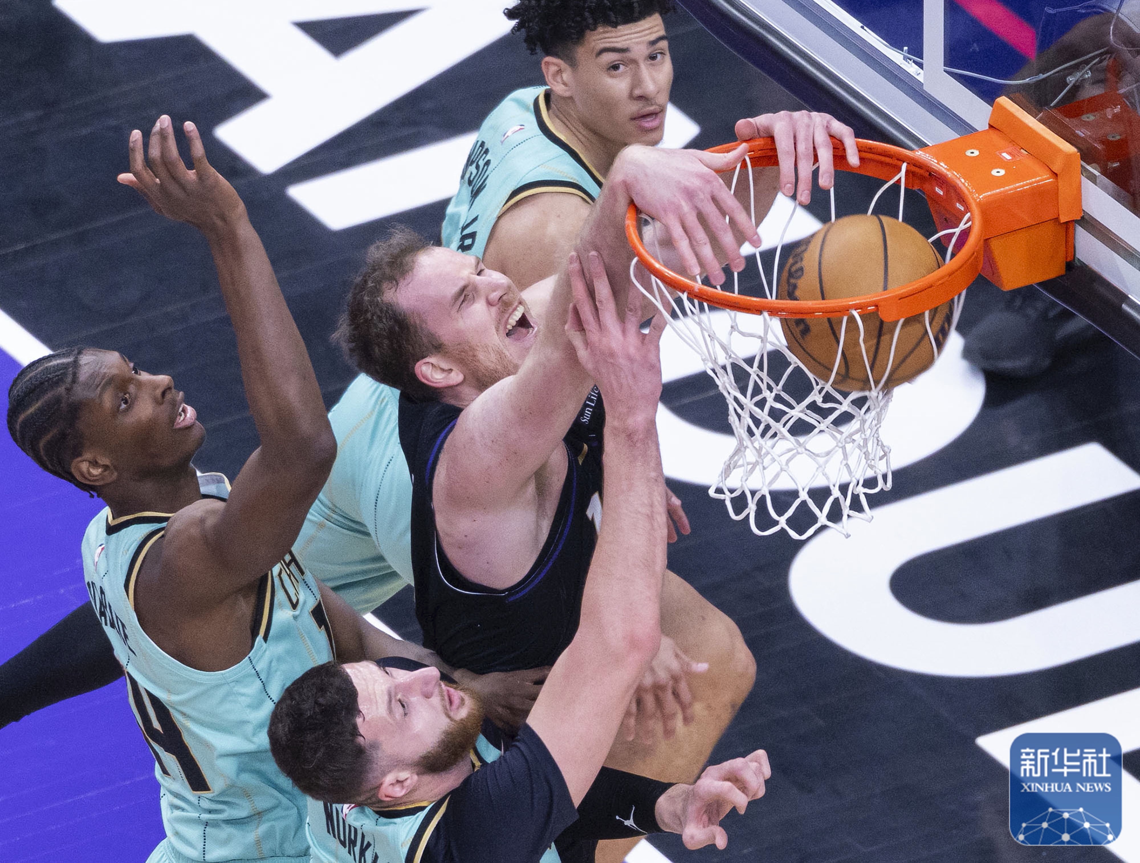 大黄蜂球队主场取胜，实现三连胜