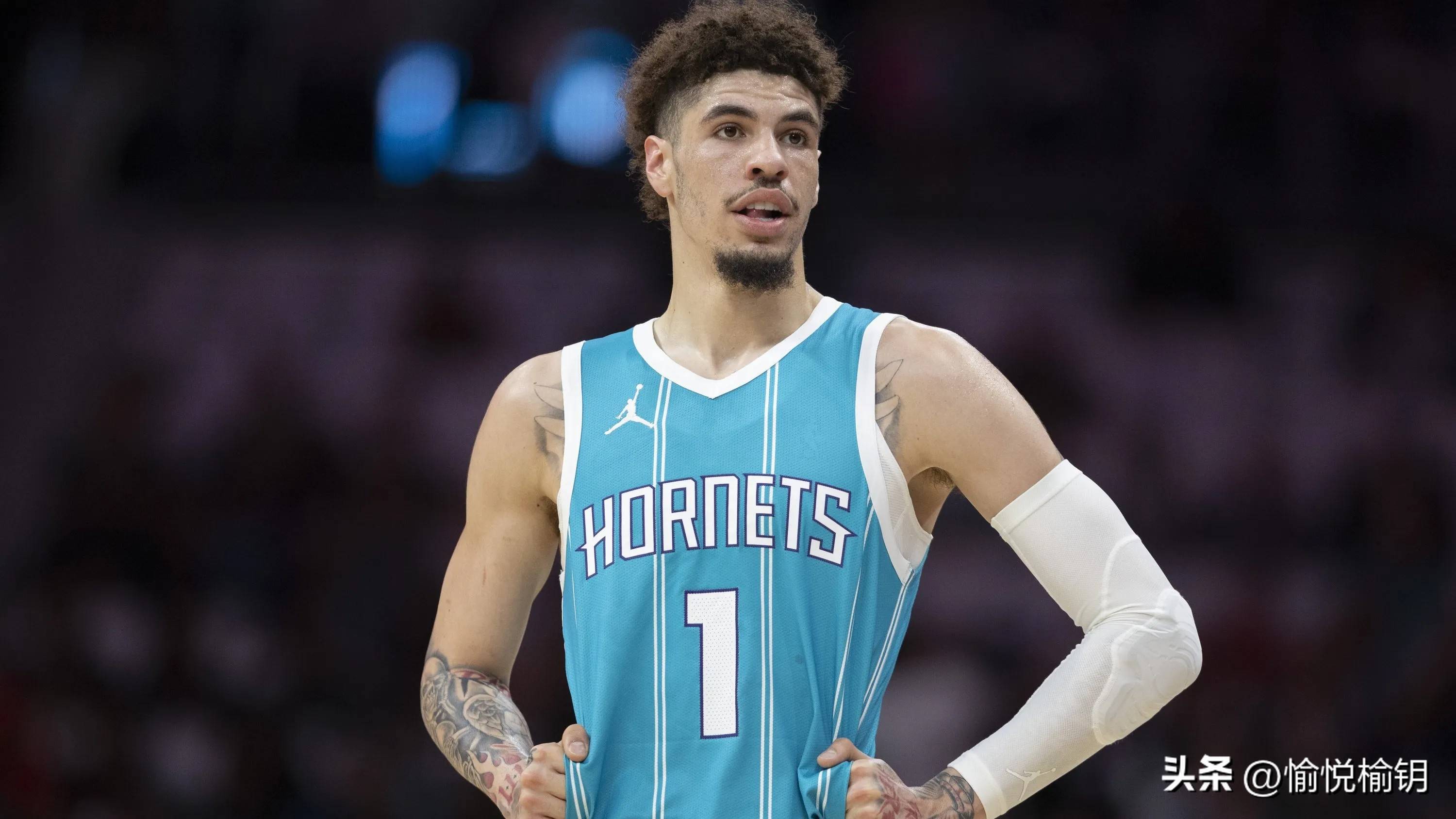 包含黄蜂队新秀表现出色，被誉为未来之星的词条