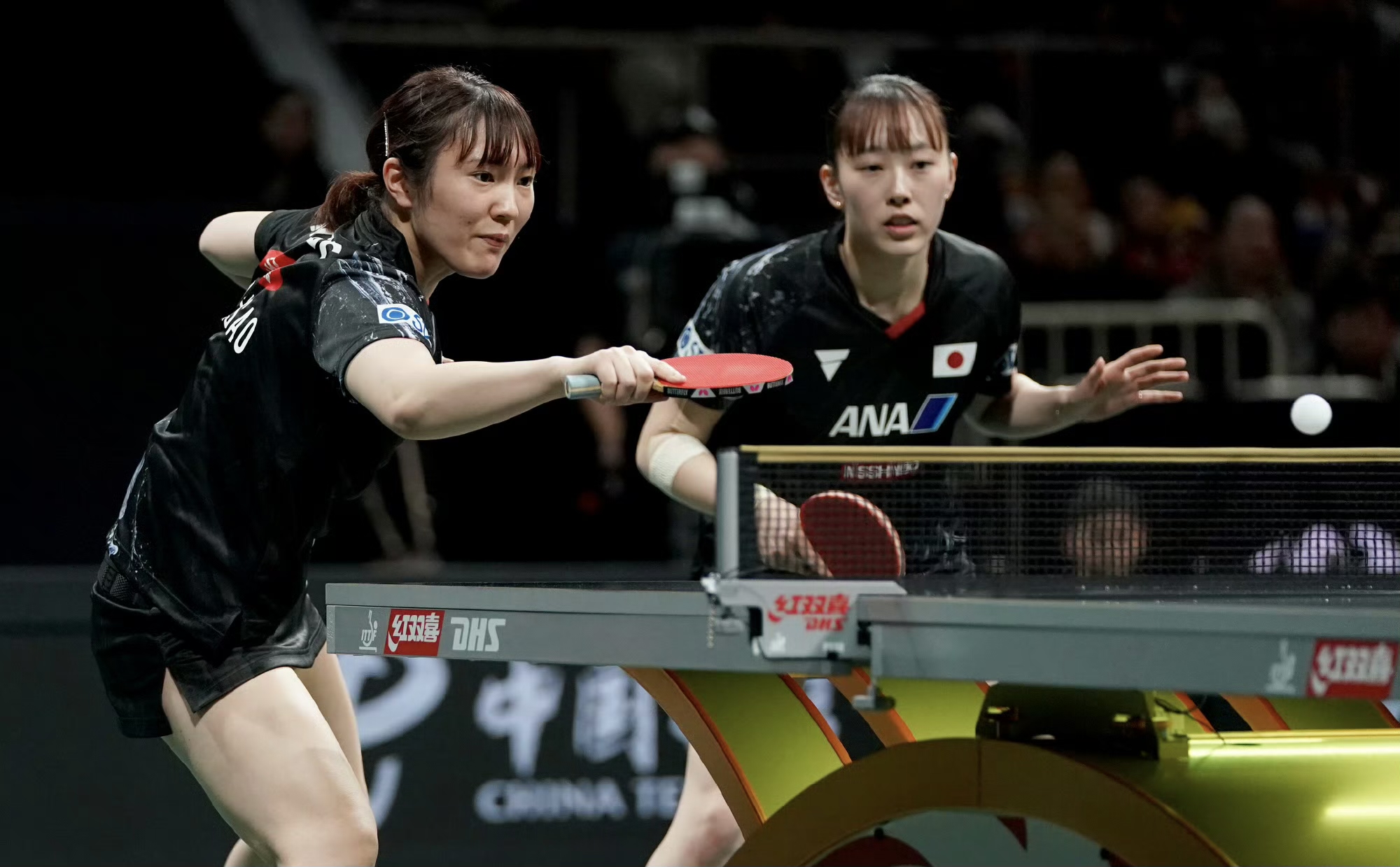 关于日本乒乓球队轻取韩国乒乓球队，波尔高光表现的信息